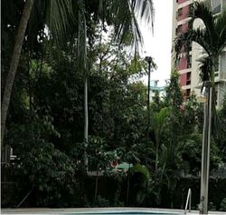 Rajah Tower (D12), Apartment #520667111